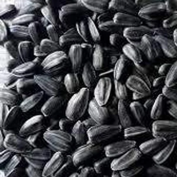Pépites De Tournesol Salées